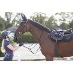 Ikonic "Elite" Jumping Lined Saddle