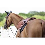 IKONIC "Elite" Jumping Plain Saddle