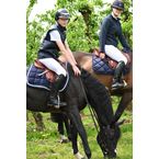 Ikonic "Evolution" Jumping Pony Saddle All in Comfort