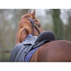 Ikonic "Light" Dressage Calflined Double Flap Saddle
