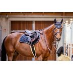 Ikonic "Evolution" Jumping Saddle