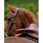 Ikonic Evolution All In Balance Jumping Saddle