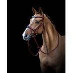 Ikonic Elite Bridle Anatomic With Logo