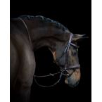 Ikonic Elite Bridle Anatomic With Logo