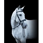 Ikonic Elite Bridle Anatomic With Logo