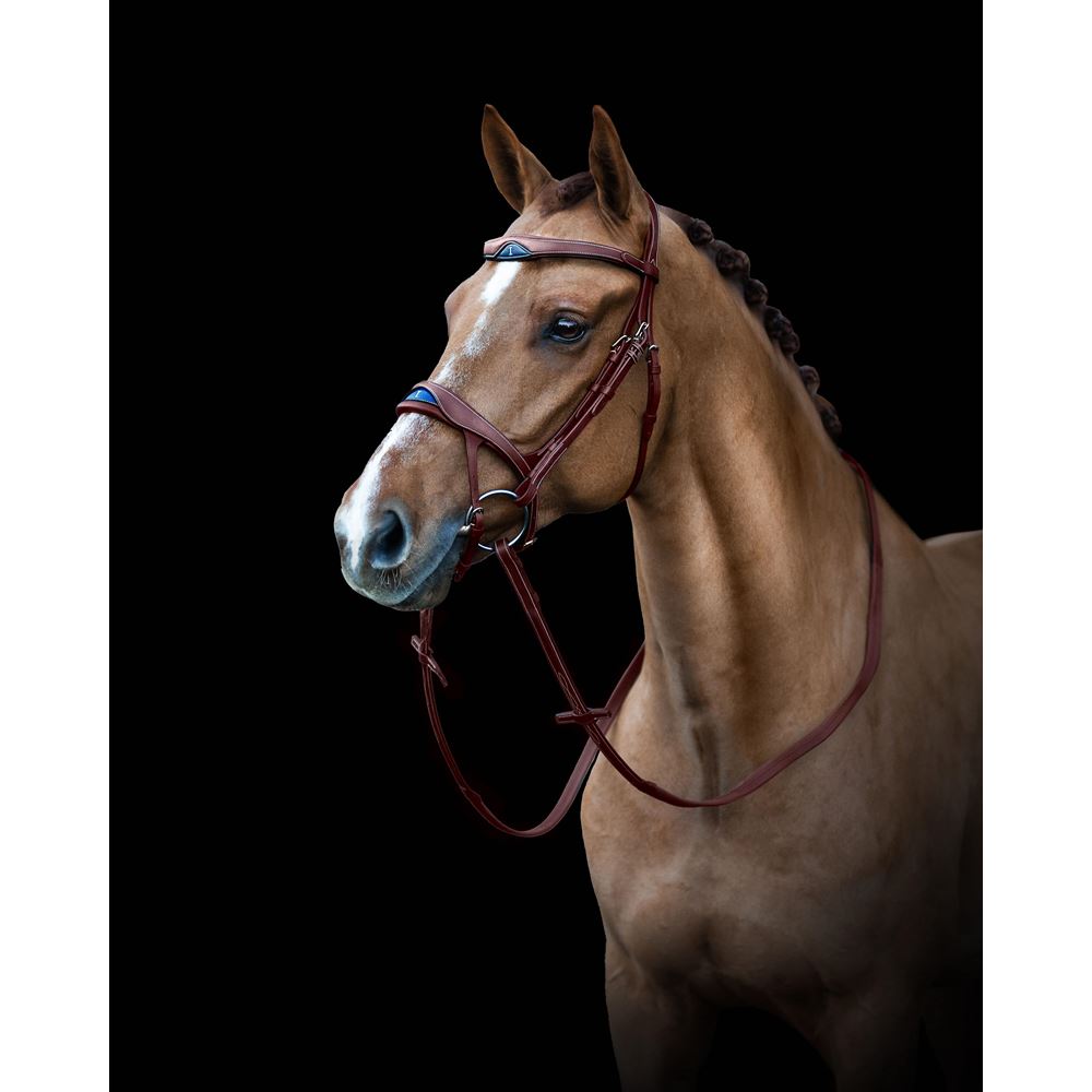 Ikonic Elite Bridle Anatomic With Logo