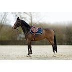 Ikonic Evolution Jumping Flex Motion