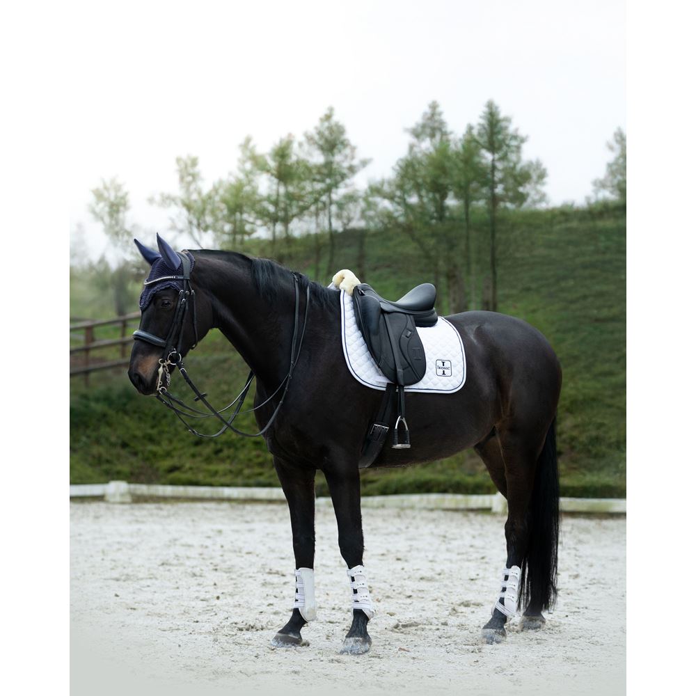 Ikonic DEV01 X-Pro Dressage Saddle – Evolution Line