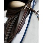 Evolution monoflap jumping saddle