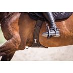 Ikonic Belly girth with IKONIC I