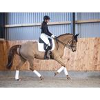 Ikonic "Evolution" Dressage Double Lined Saddle