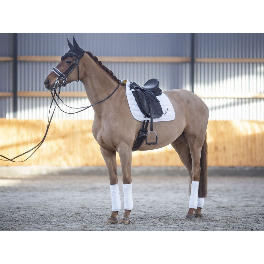 Ikonic "Evolution" Dressage Double Lined Saddle