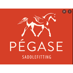 Pégase Saddle fitting