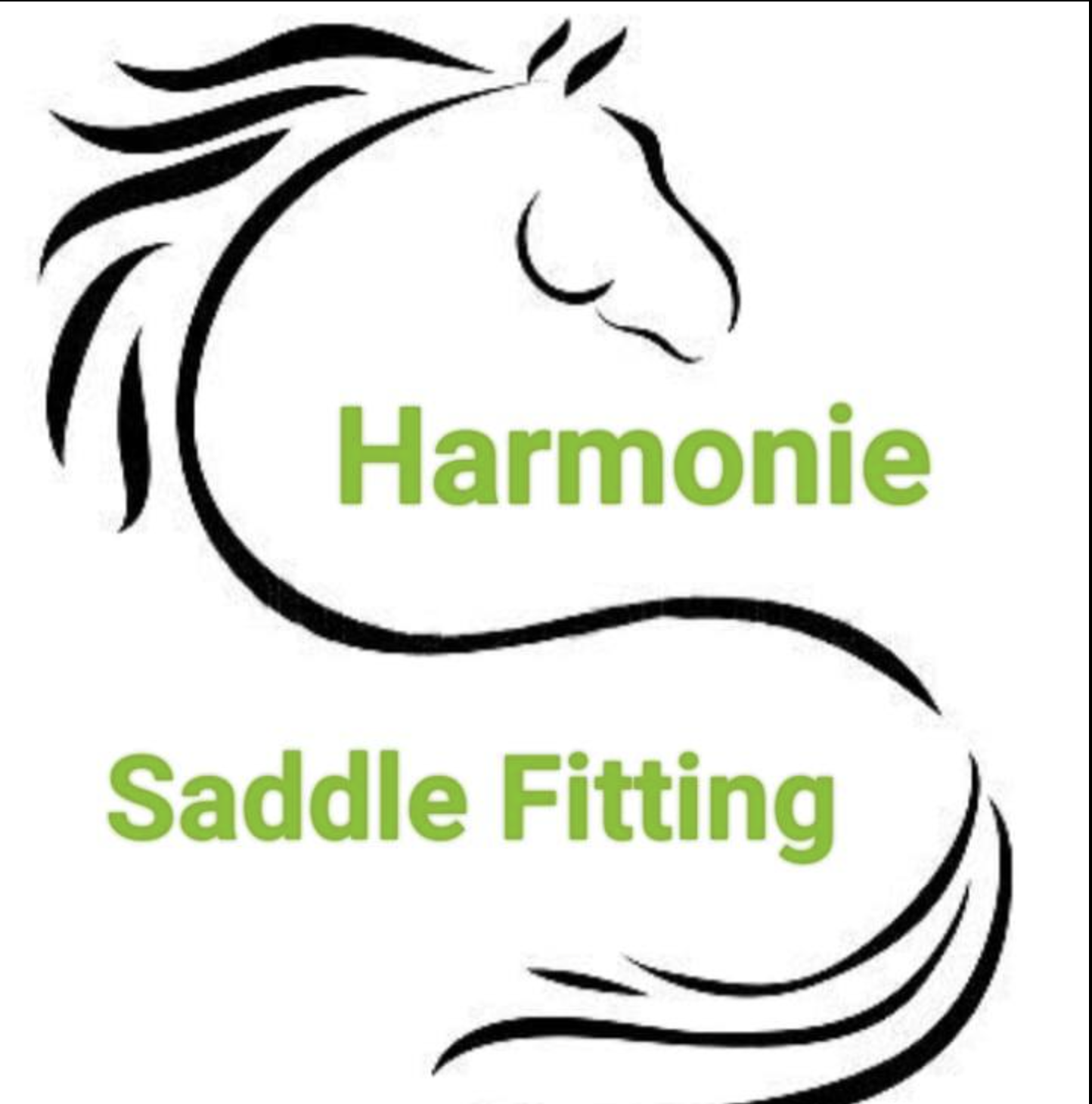 Harmonie saddle fitting