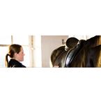 Stall Smedby Sadelutprovning