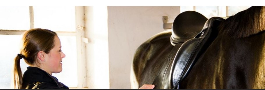 Stall Smedby Sadelutprovning