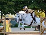 3-2-1-Go Eventing, LLC