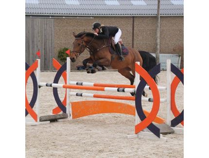 Charlyne  Vanhoof