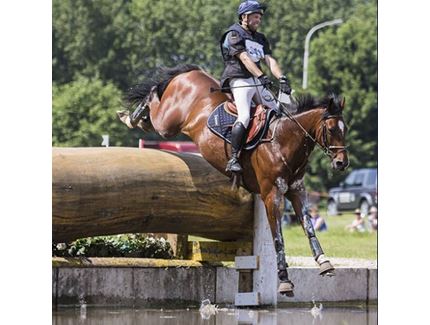 Giel  Vanhouche