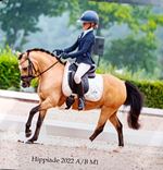 Ruitersport Hippique