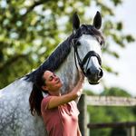 Sellia -Ergonome Equestre