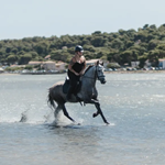 Voluspa sellier Harnacheur