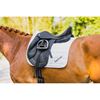 Saddles - "Evolution" line - Dressage