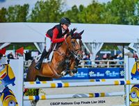 Ruitersport Hippique