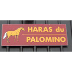 Haras Palomino