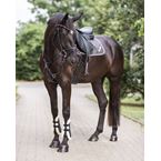 Ikonic "Light" Springzade