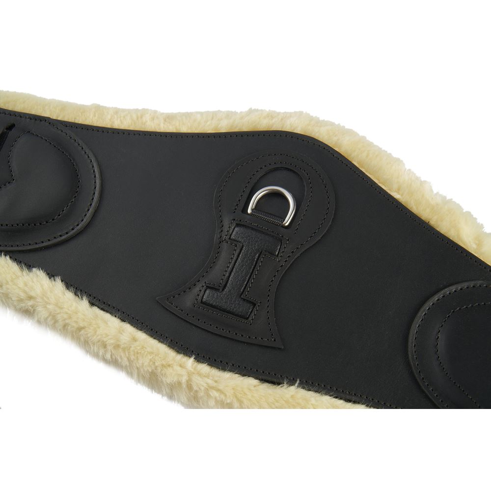 Ikonic Dressuur-Hoeksingel