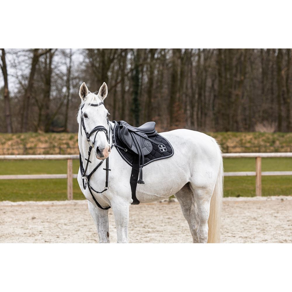 Ikonic "Evolution" Selle Jumping "BLACK SERIES"