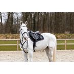 Ikonic "Evolution" Selle Jumping "BLACK SERIES"