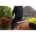 Ikonic "Elite" Selle Jumping All in Balance