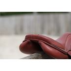 Ikonic "Elite" Selle Jumping All in Balance