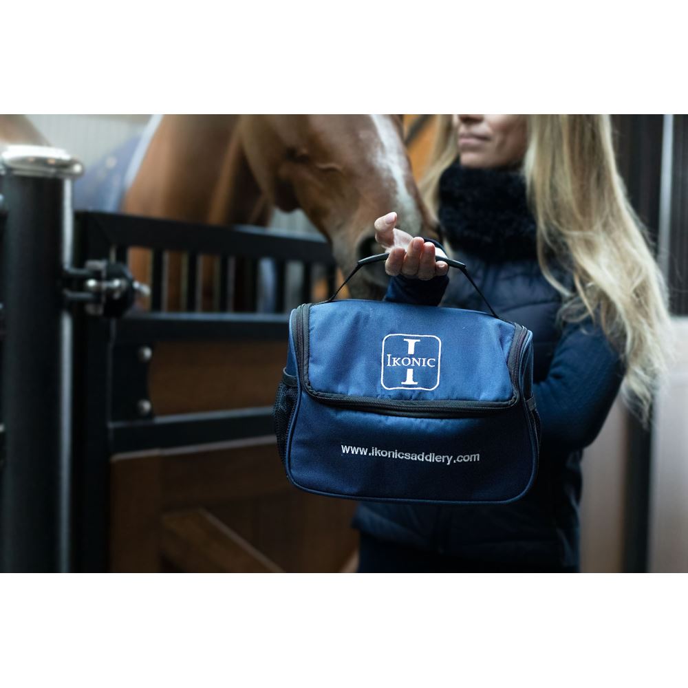 Ikonic Putztasche für Bürsten