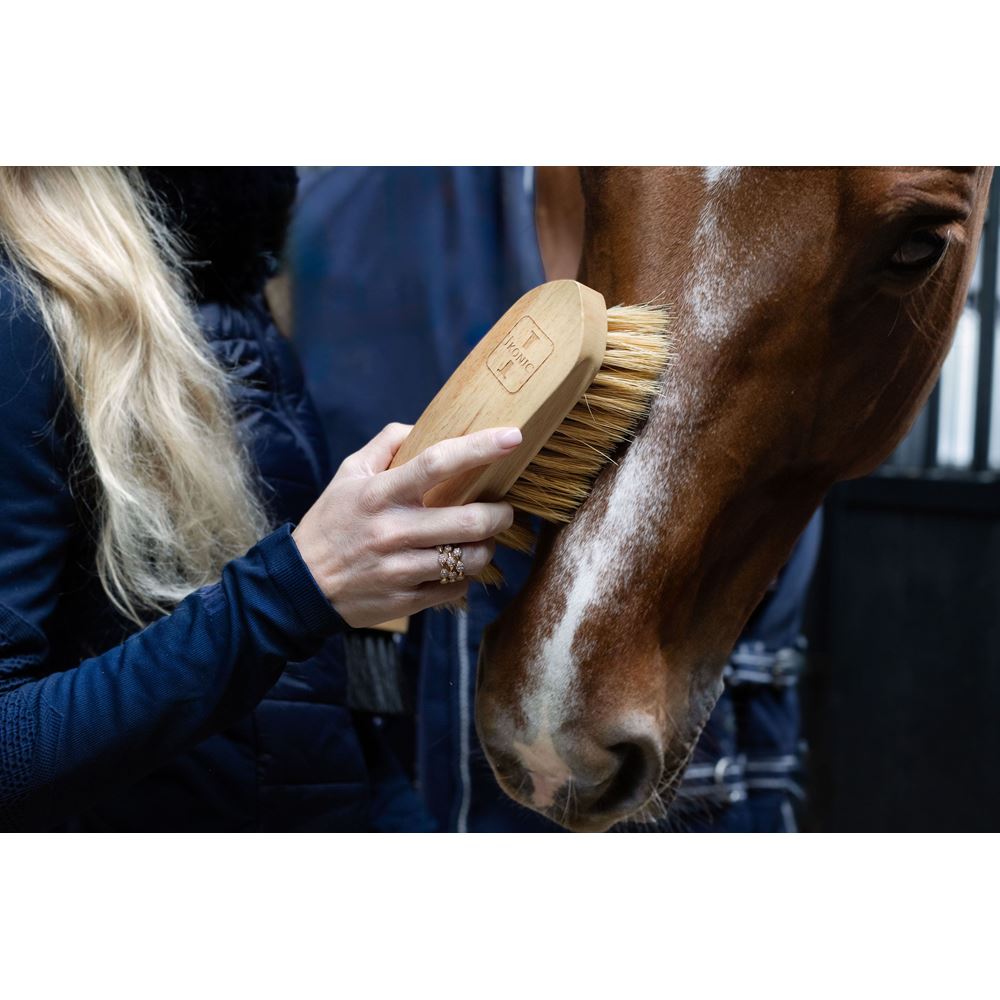 Ikonic Putztasche für Bürsten