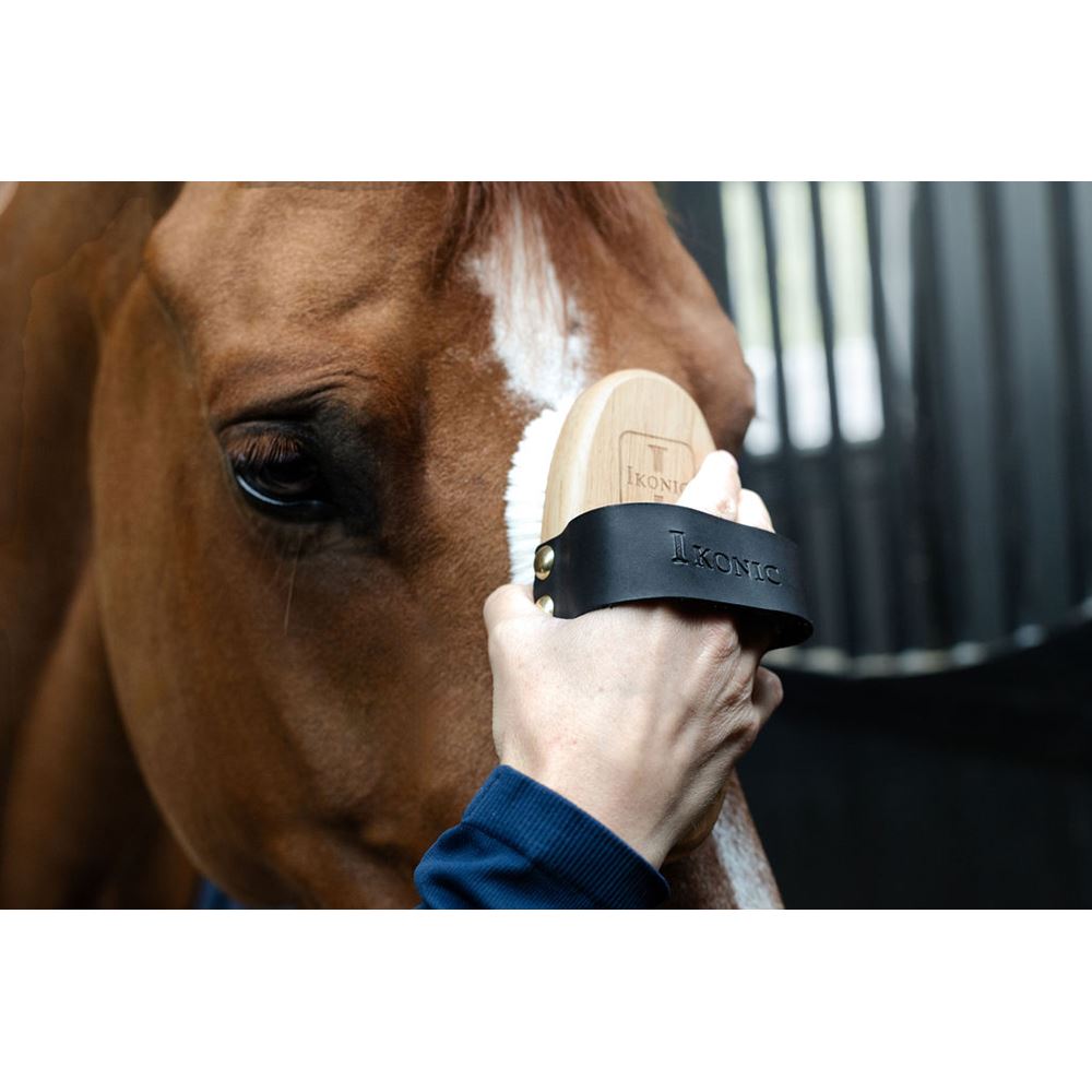 Ikonic Putztasche für Bürsten