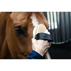 Ikonic Putztasche für Bürsten