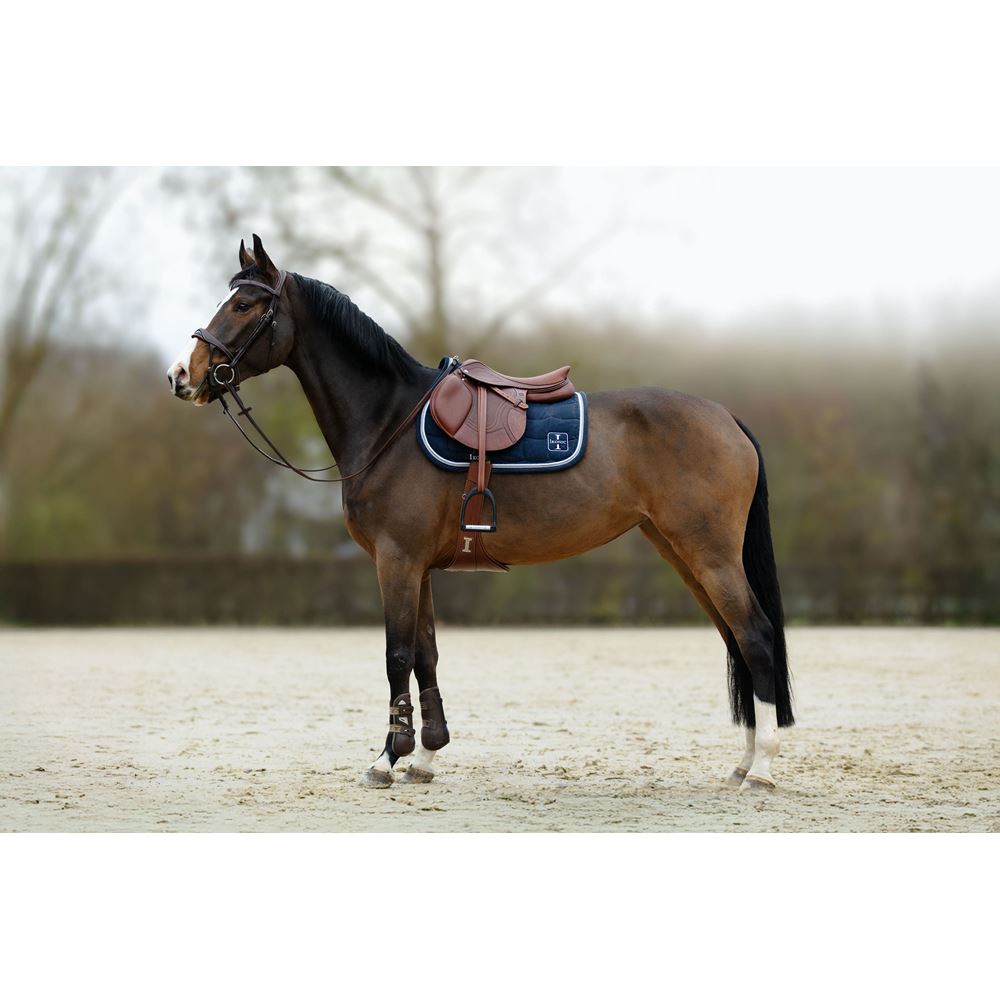 Ikonic Evolution Springsattel Flex Motion