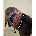 Ikonic Evolution Springsattel Flex Motion