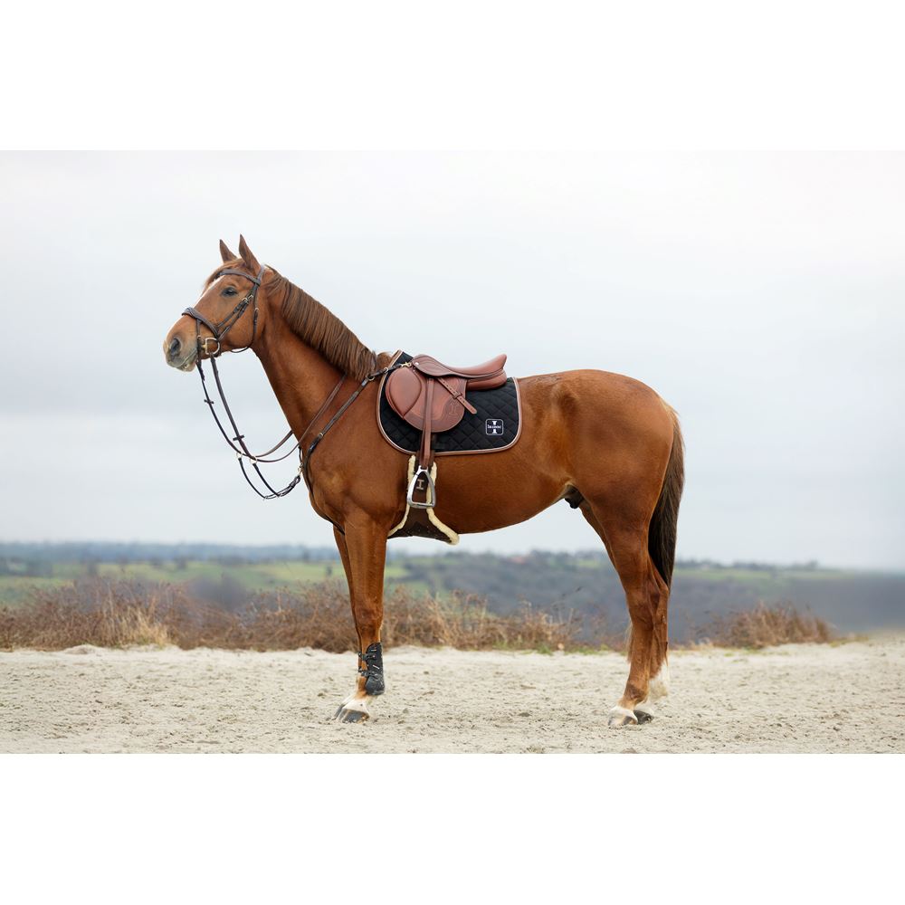 IKONIC Evolution X-Pro Hopp