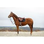 IKONIC Evolution X-Pro Hopp