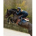 Ikonic "Elite" Selle Jumping L'Authentique