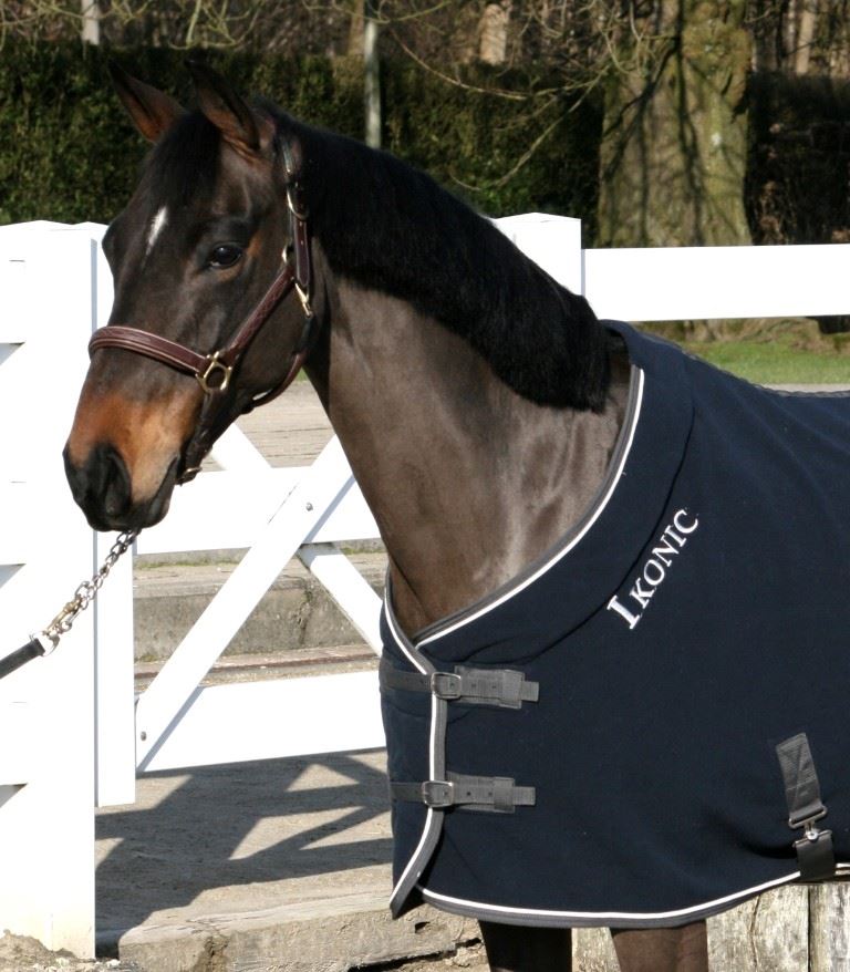 IKONIC Fleecdecke wattiertes Halz