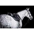 IKONIC Pro "Evolution" BLACK SERIES Springsattel Kalbsleder