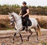 Zadelprofessie Jukema