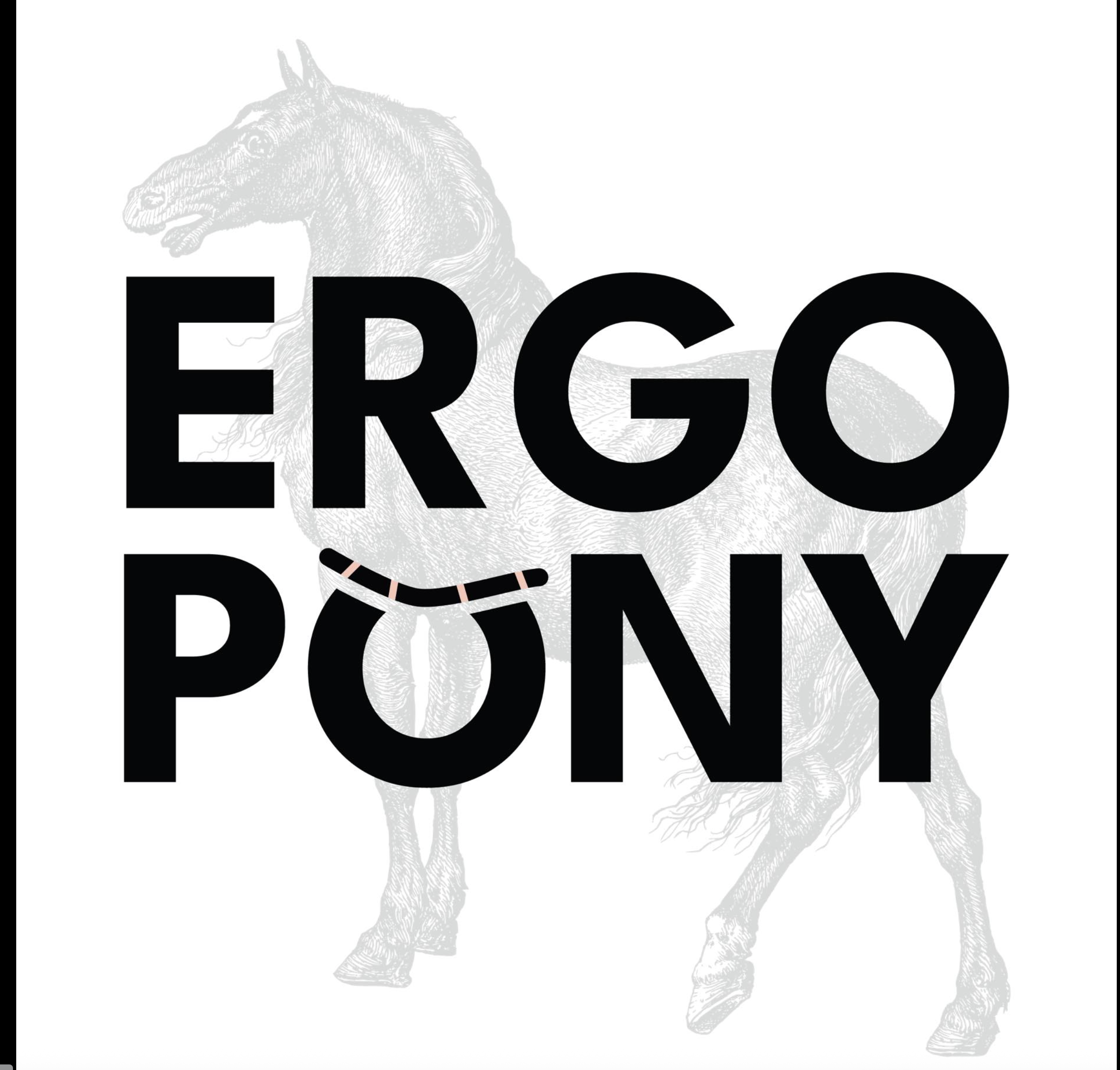 Ergopony