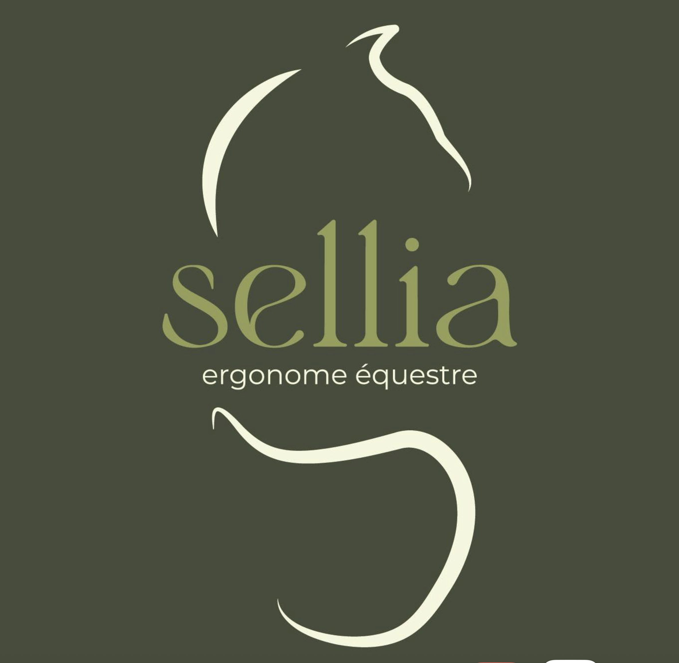 Sellia -Ergonome Equestre