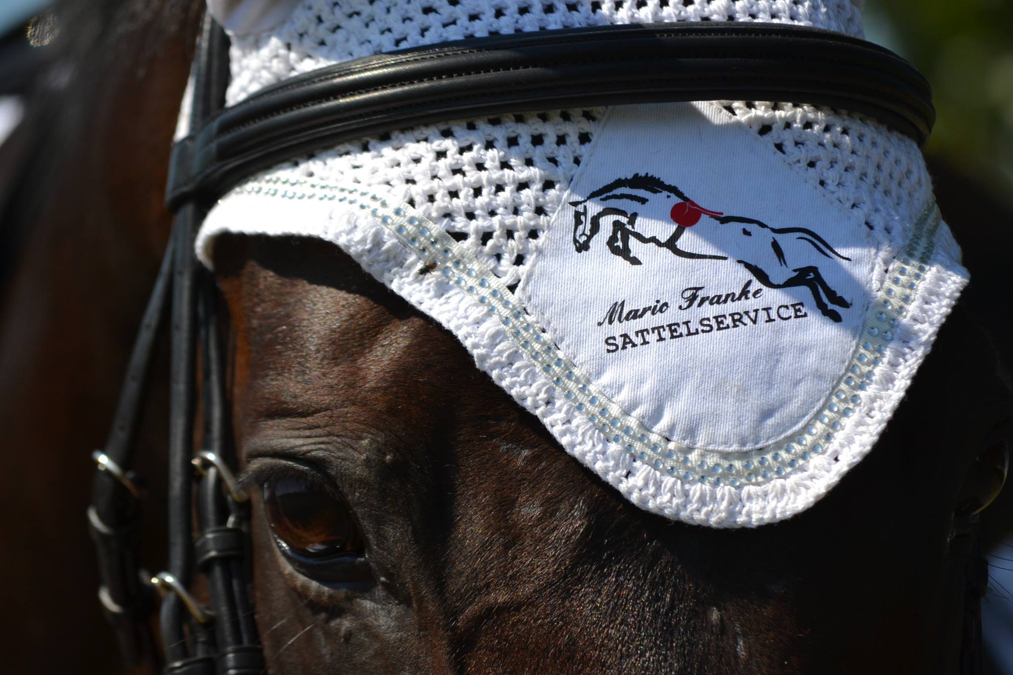 SATTESERVICE MARIO FRANKE